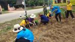 กิจกรรม ปรับปรุงภูมิทัศน์ที่สาธารณะประโยชน์ (บริเวณข้างทางหน